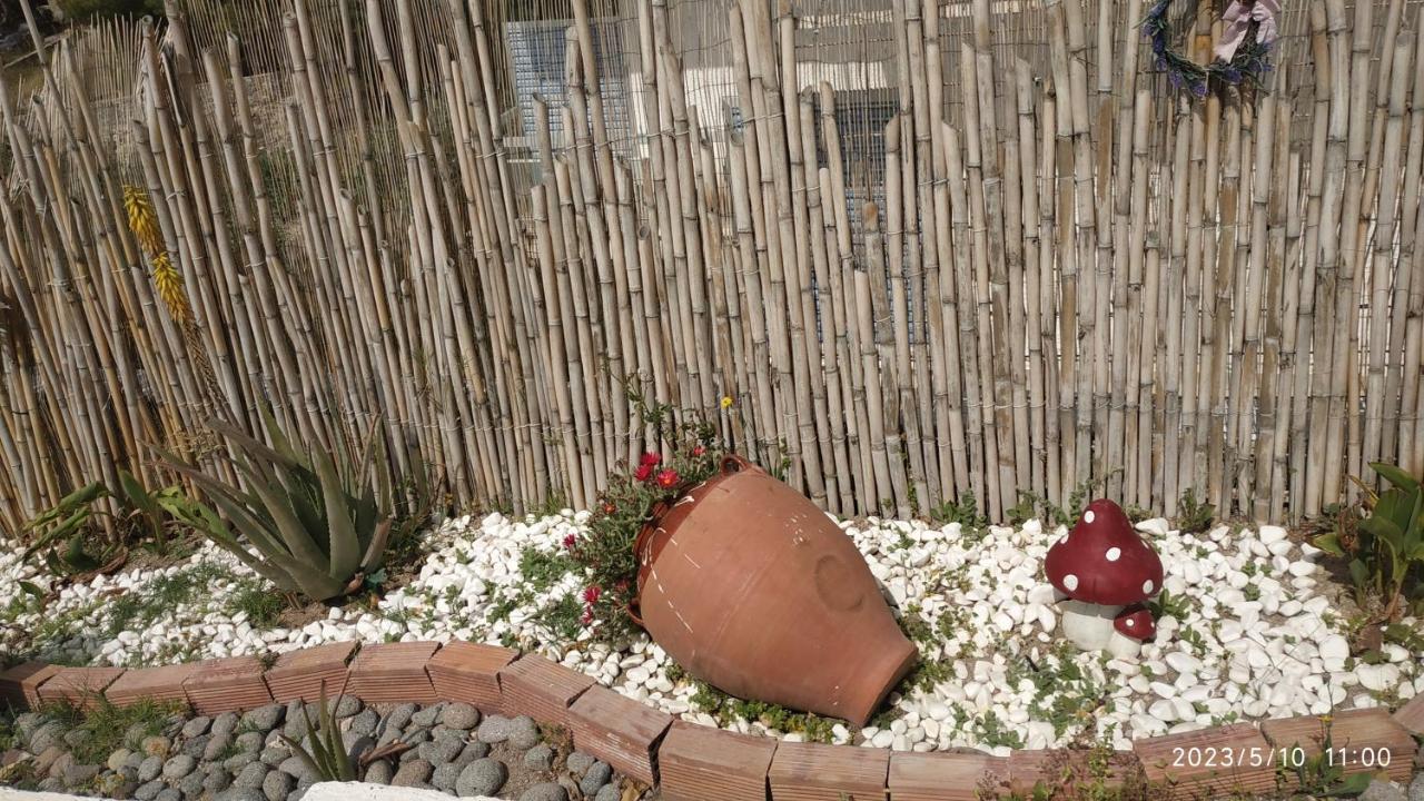 Meltemi Apartments Agia Marina  エクステリア 写真