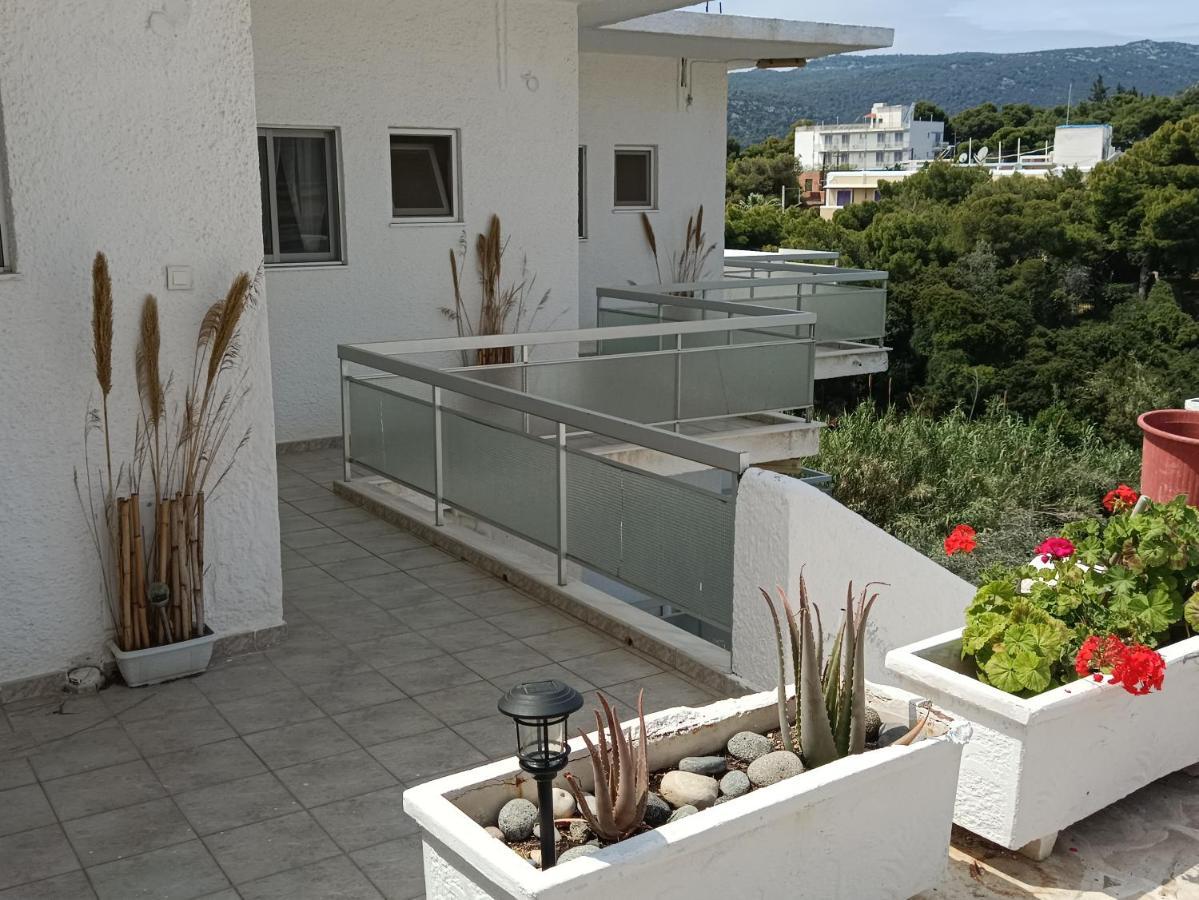 Meltemi Apartments Agia Marina  エクステリア 写真